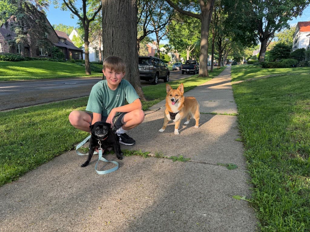Cricket and Ming on a neighborhood walk with Oscar